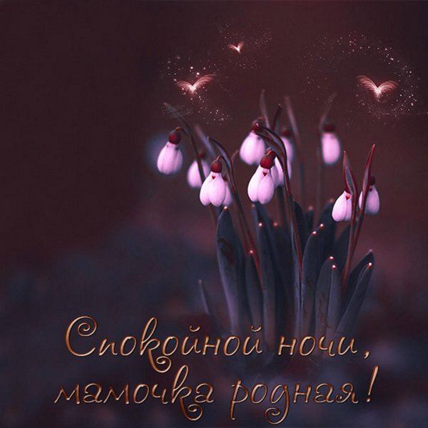 Спокойной ночи мама