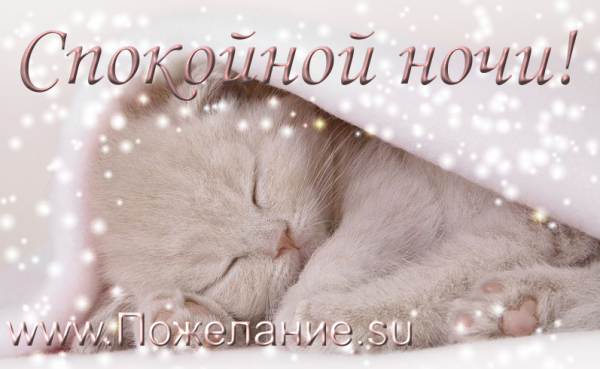 Спокойной ночи картинки красивые