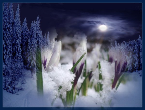 Доброй снежной весенней ночи