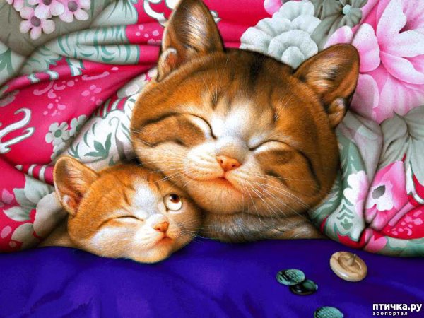 Макото Мурамацу