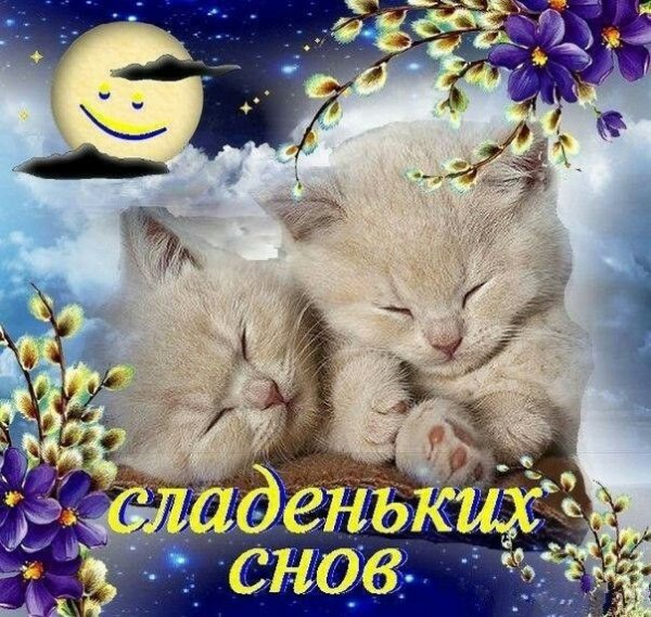 Счастливых снов