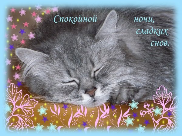 Красивые открытки спокойной ночи сладких снов