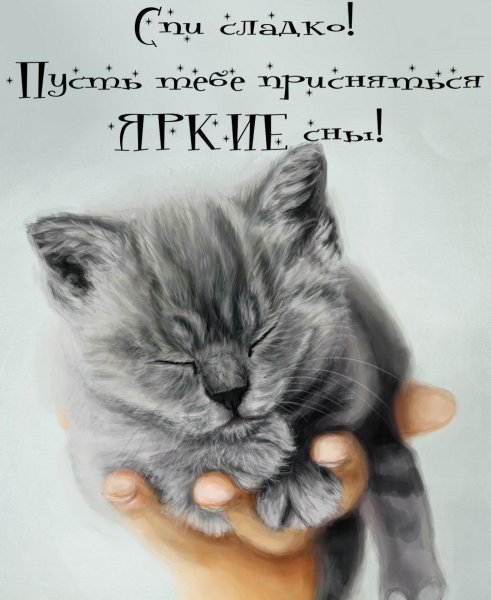 Котенок. Спокойной ночи!