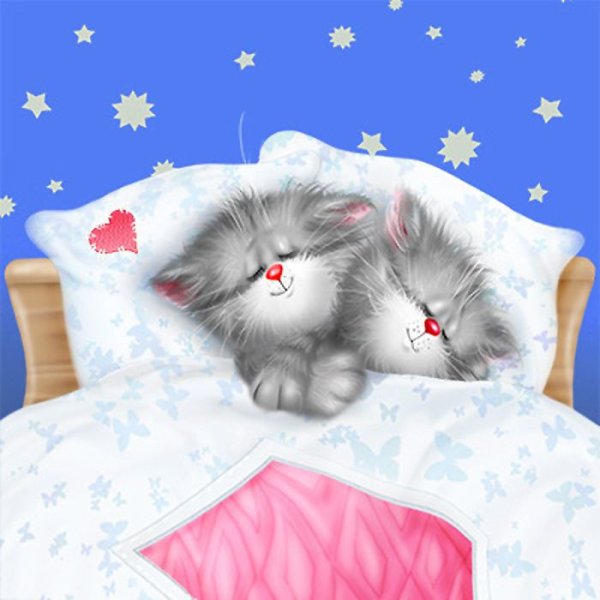 Коты Алексея Долотова любовь