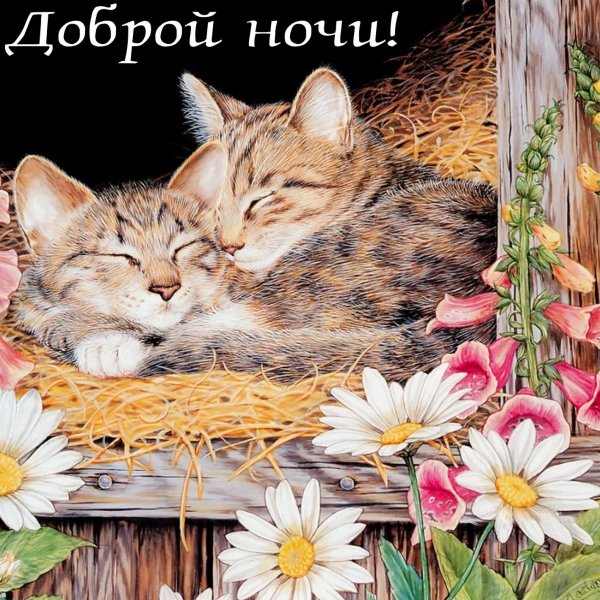 Картина по номерам котята