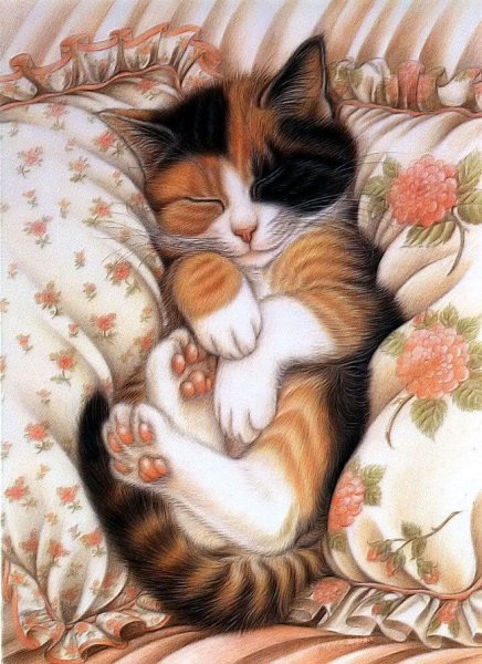 Котенок. Спокойной ночи!