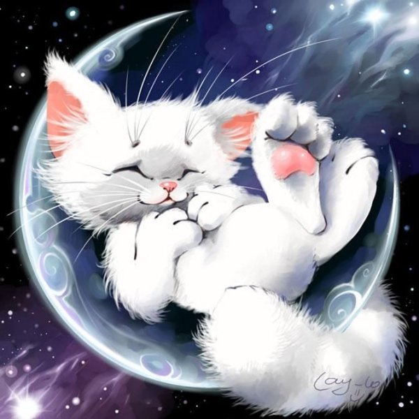 Спокойной ночи сладких снов картинки с котятами (41 фото)