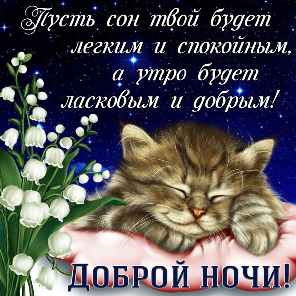 Красивые пожелания спокойной ночи