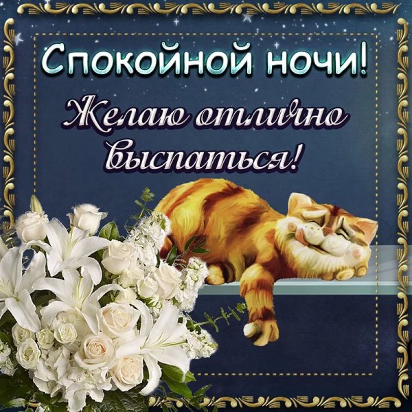 Пожелания спокойной ночи