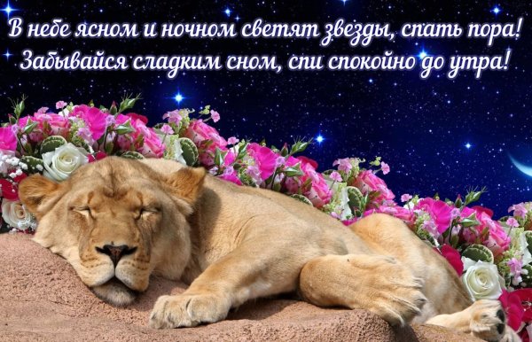 Открытки спокойной ночи