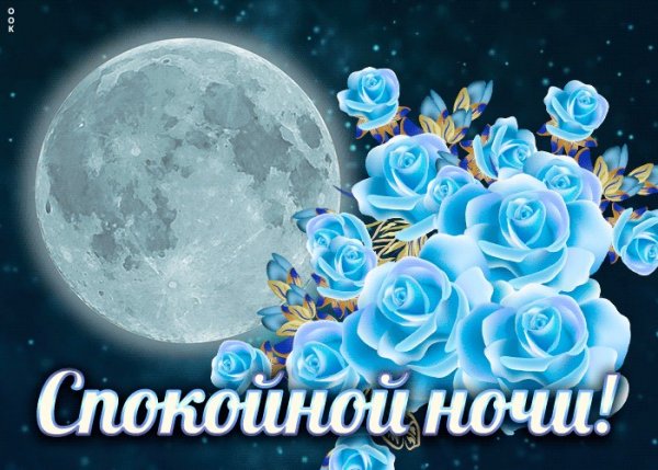 Доброй ночи Галина
