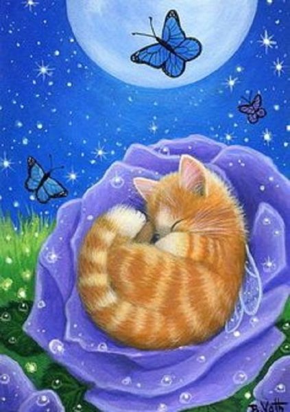 Кошка спит