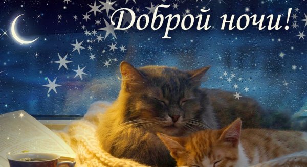 Пожелания спокойной ночи