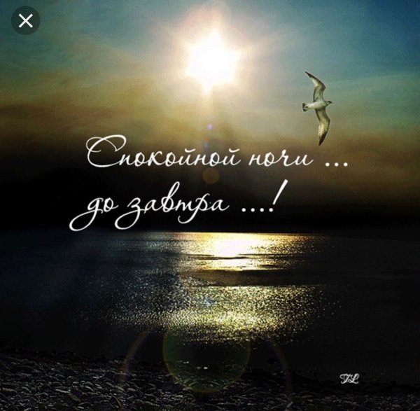 Спокойной ночи сладких снов