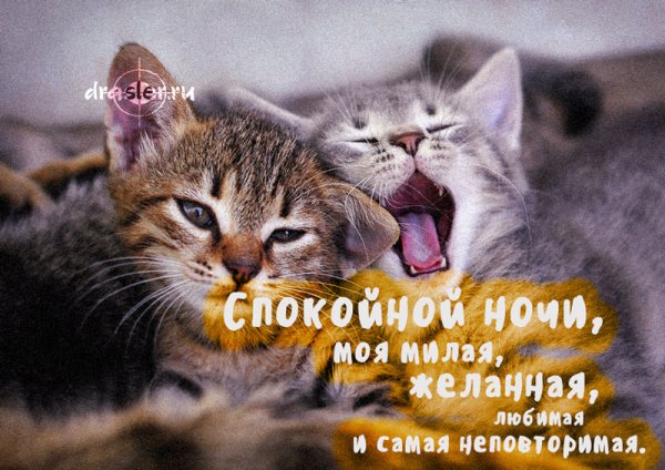 Доброй ночи милая моя