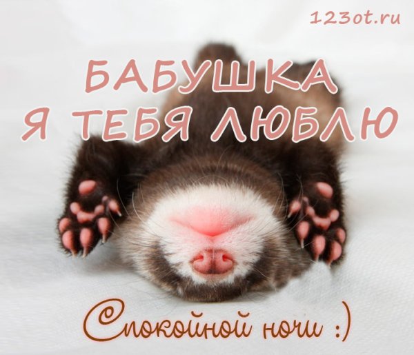 Спокойной ночи бабулечка