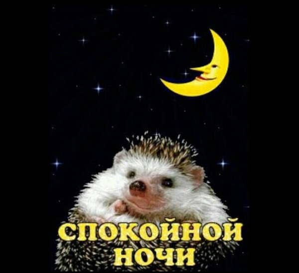 Спокойной ночи с ежиком