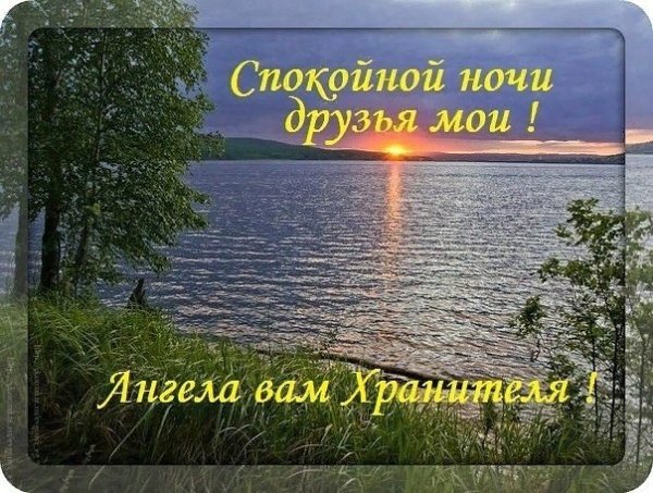 Спокойной ночи друзья