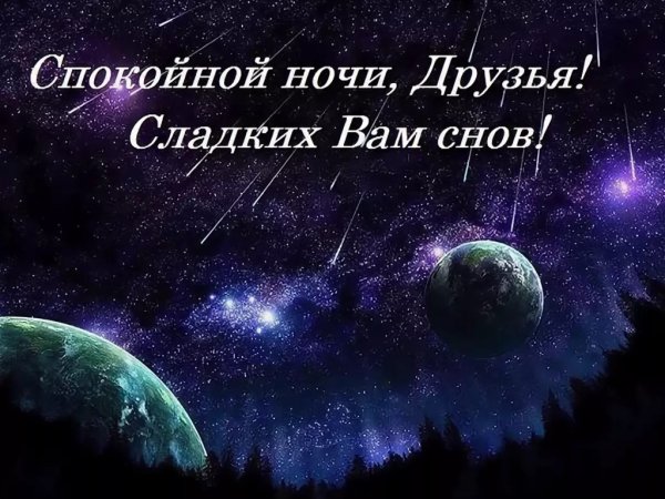 Спокойной ночи друзья