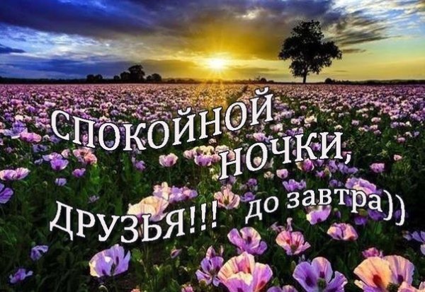 Пожелание спокойной ночи другу