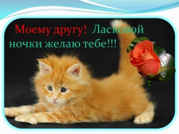 Пожелание неспокойной ночи