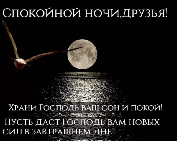 Прикольные пожелания спокойной ночи