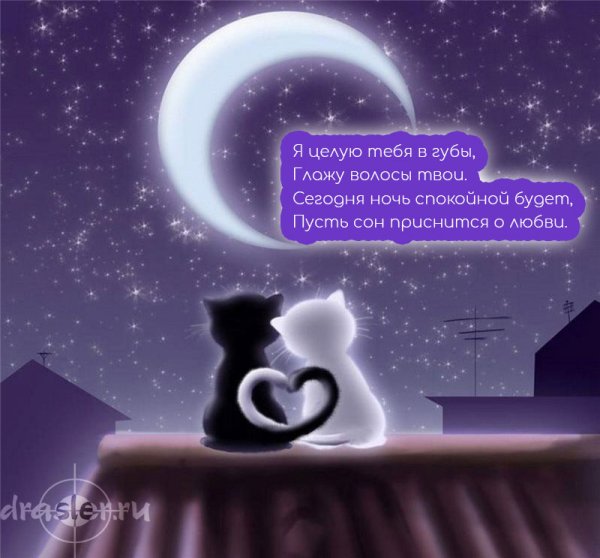Романтические пожелания на ночь