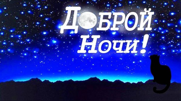 Спокойной ночи любимая