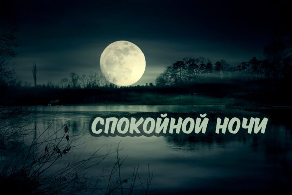 Спокойной ночи вампир