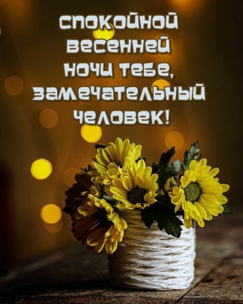 Хорошей весенней ночи