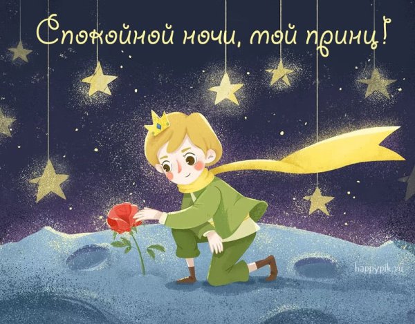 Спокойной ночи принц