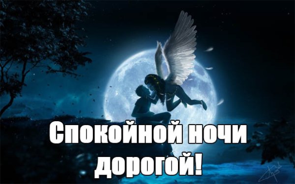 Спокойной ночи родная