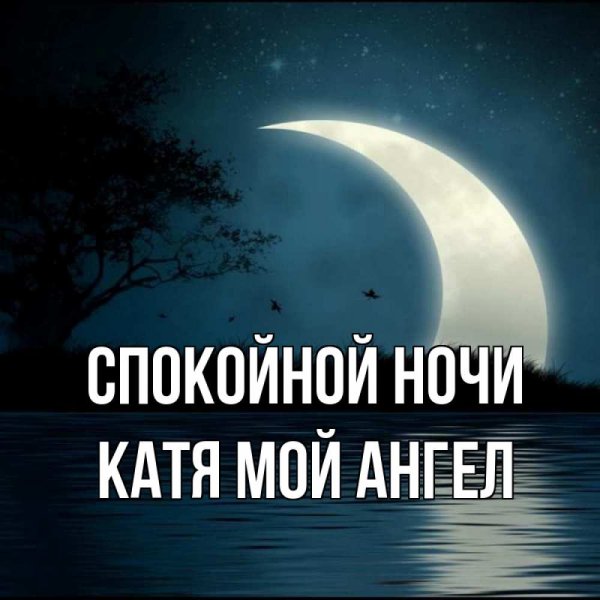 Спокойной ночи Толя