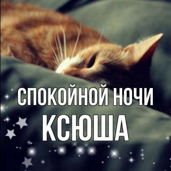 Спокойной ночи любимая Ксения