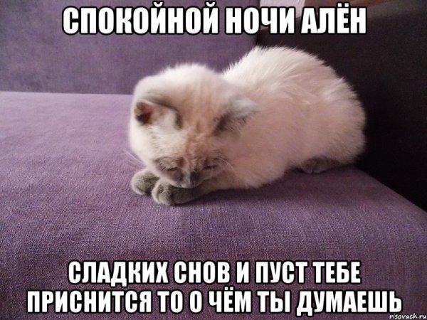 Спокойной ночи Наташа