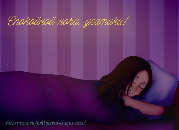 Спокойной ночи Вика
