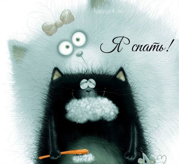Роб Скоттон