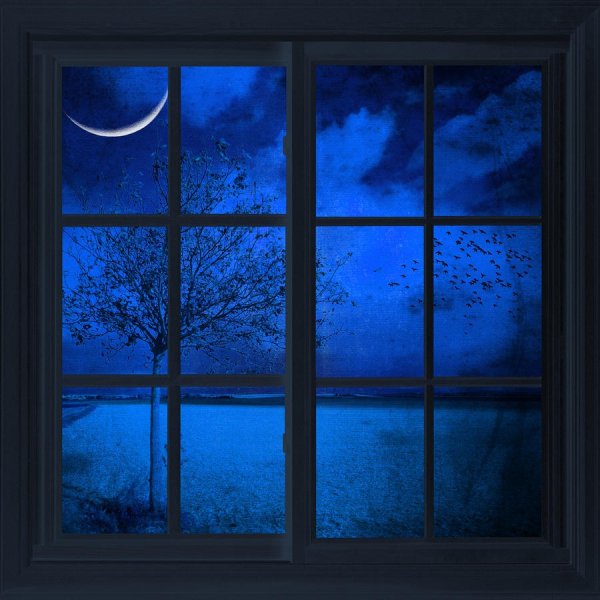 Ночь за окном