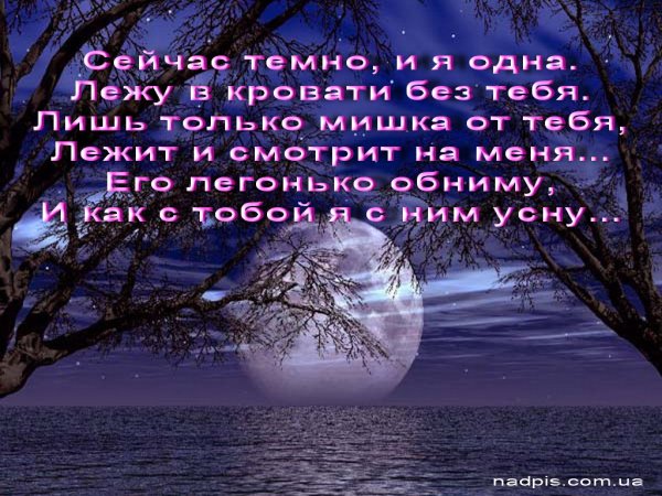 Спокойной ночи парню