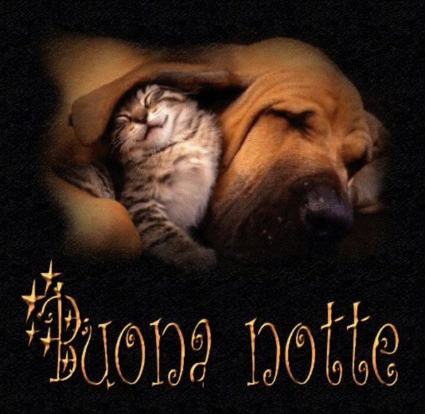 Buona notte открытки на итальянском