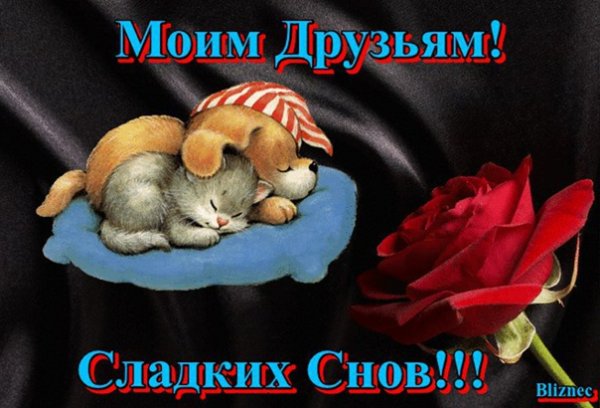 Доброй ночи спать пора