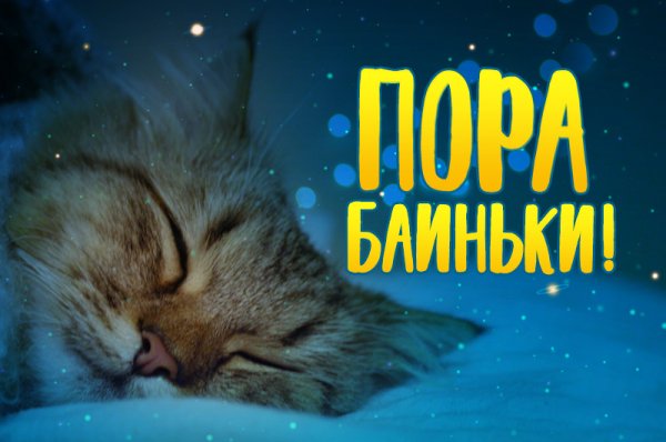 Пора спать!