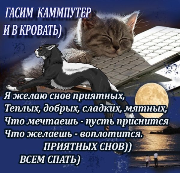 Я спать спокойной ночи