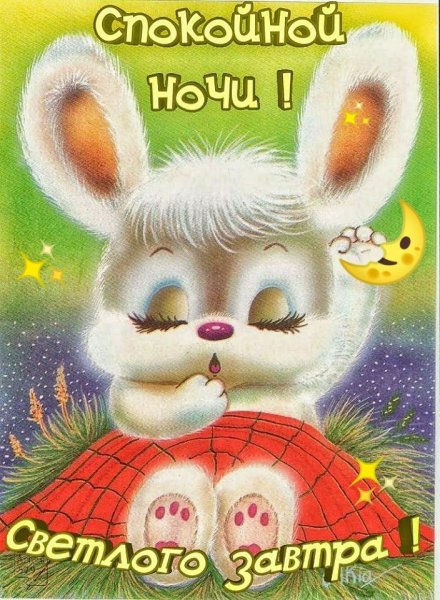 Спокойной ночи зайчик