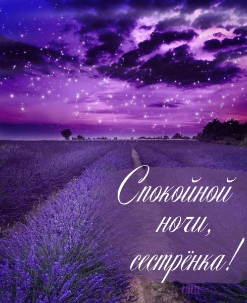 Спокойной ночи сестричка