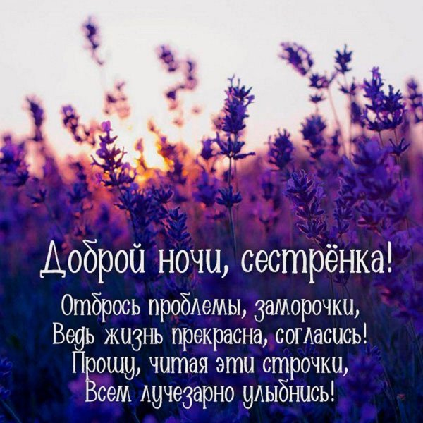 Спокойной ночкисестричка