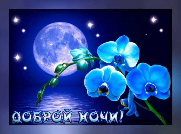 Спокойной ночи любимая