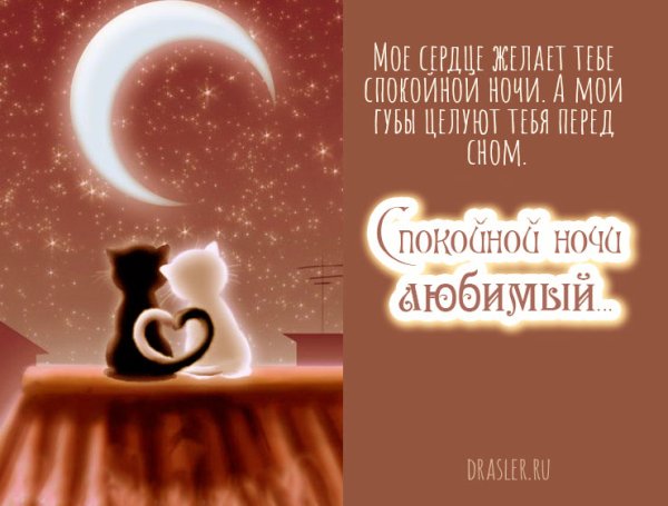 Спокойной ночи мужчине любимому