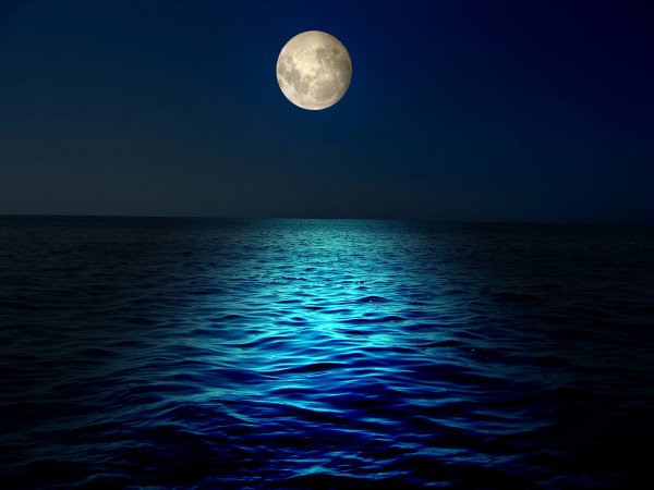 Ночное море