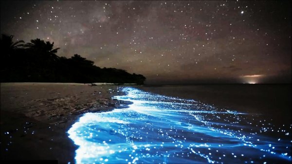 Остров Ваадху (Vaadhoo Island), Мальдивские острова
